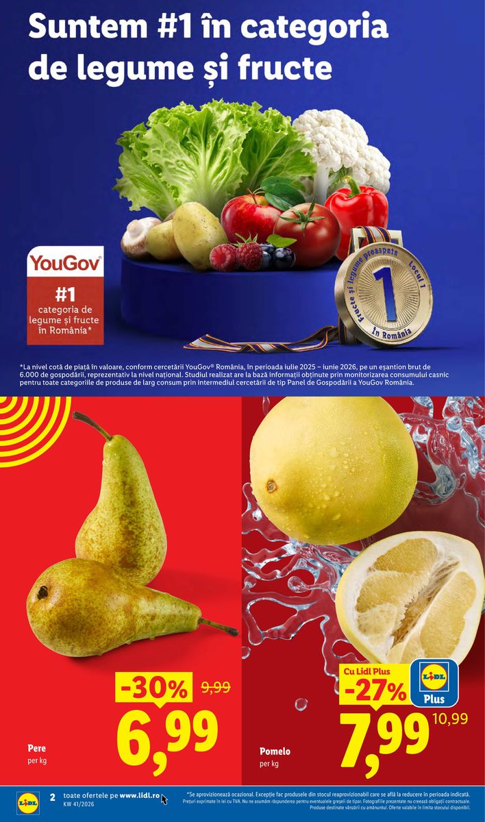 Pagina din catalog