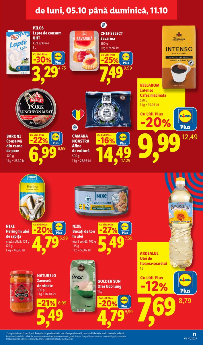 Pagina din catalog