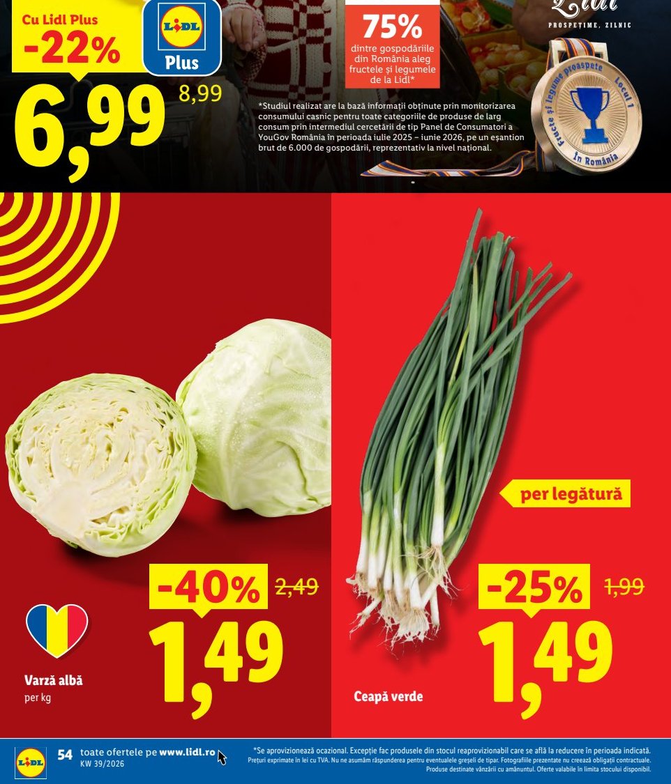 Eșantion Brut Gospodării Reprezentativ Nivel