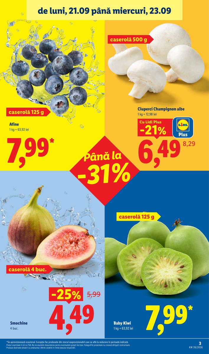 Pagina din catalog