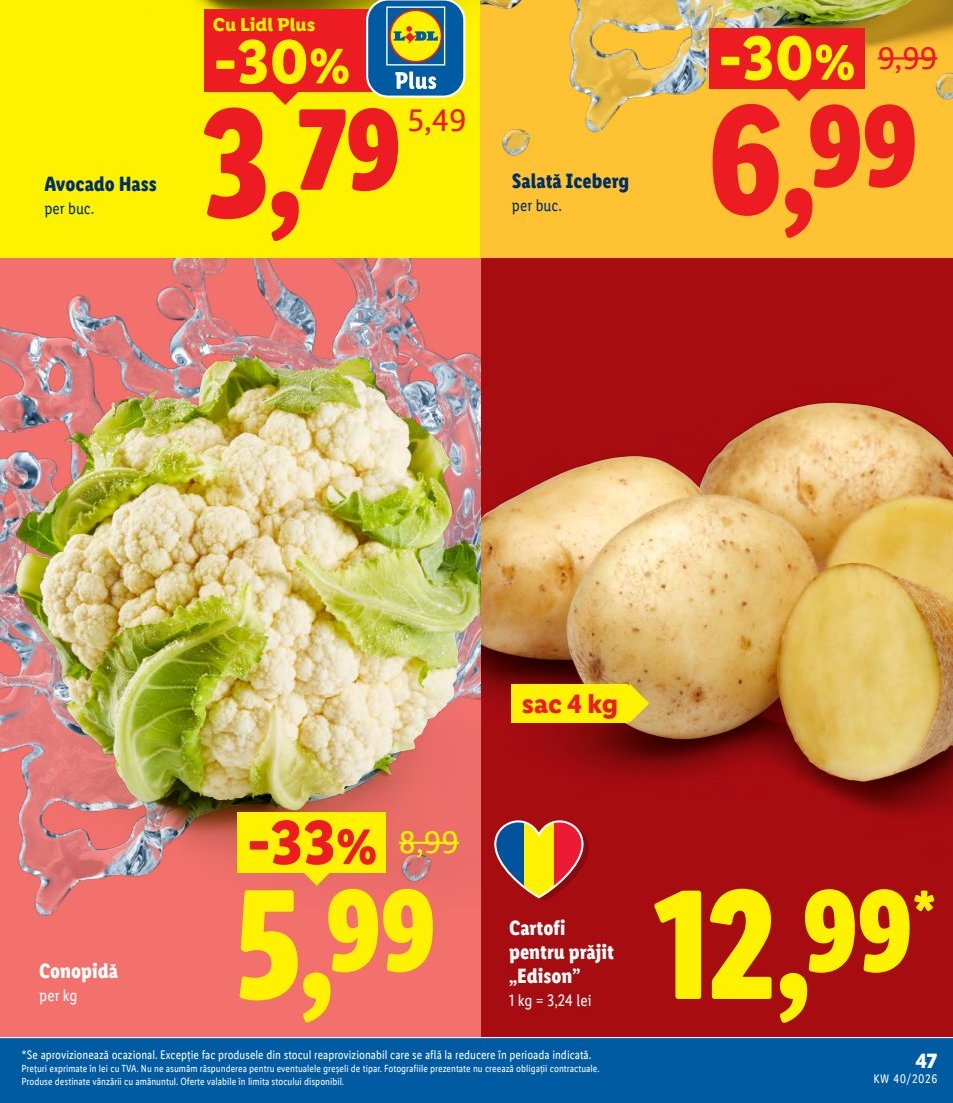 Conopidă