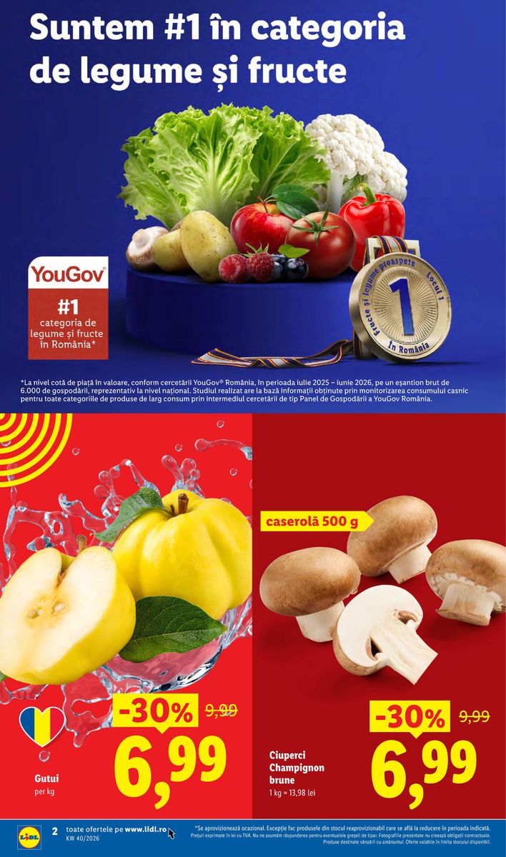 Pagina din catalog